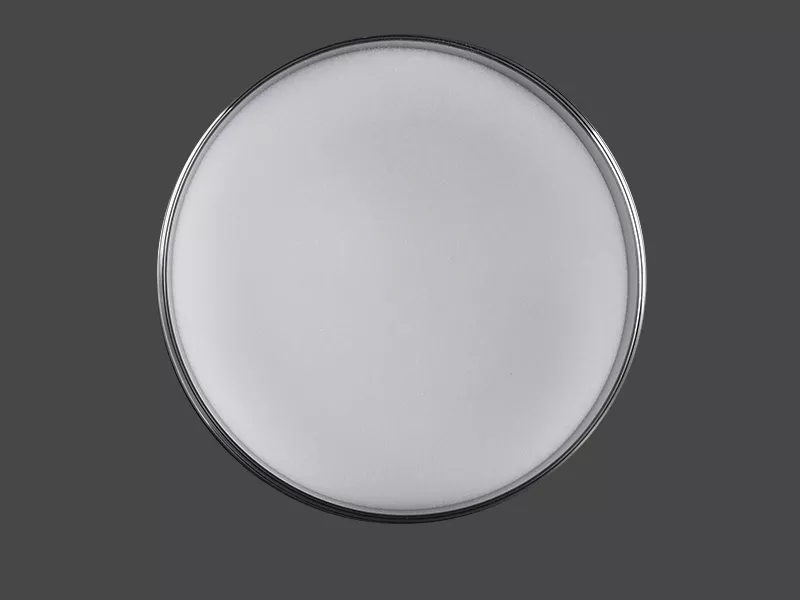 Wide Pore Silica Gel