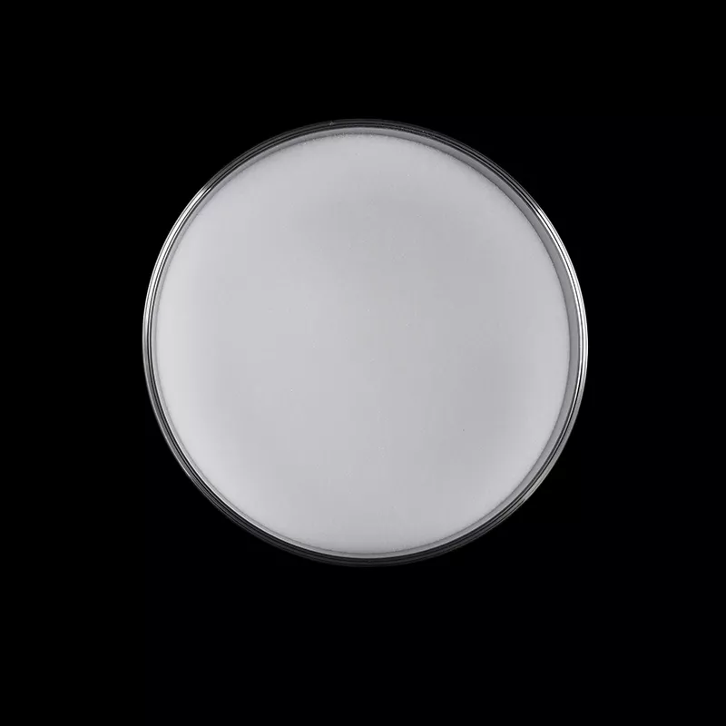 Polyethylene Catalyst