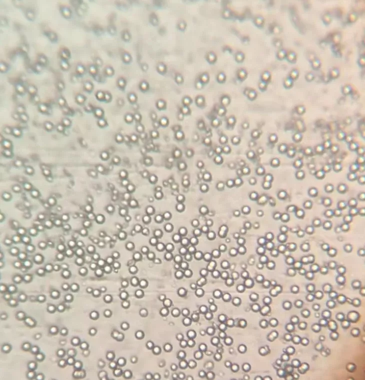 Micron spherical silica