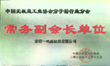 中国无机盐协会副会长单位.png